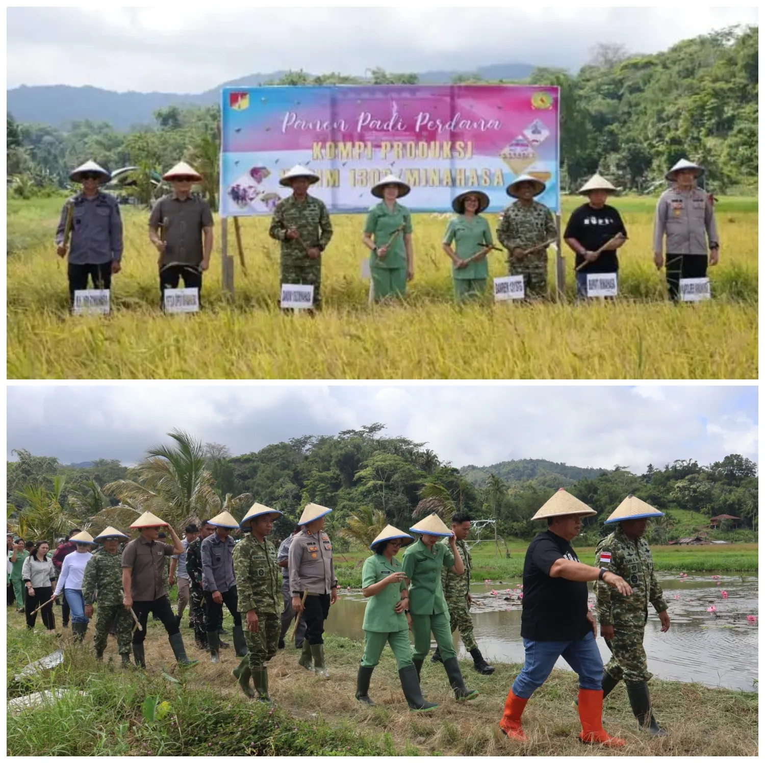Panen Perdana Kompi Produksi Kodim 1302/Minahasa.