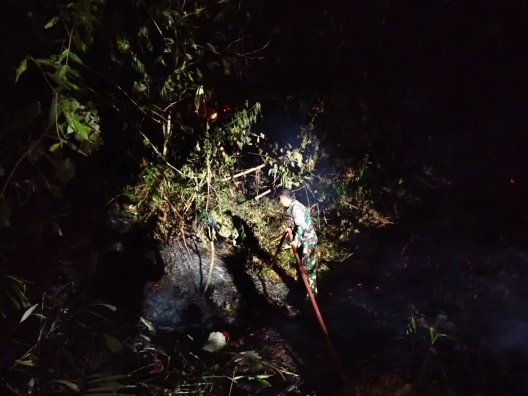 Babinsa Dan Damkar Padamkan Kebakaran Lahan Di Bahu Jalan Trans Sulawesi.