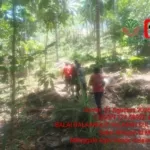 Babinsa Aktif Cegah Karhutla Di Kelurahan Bitung.
