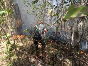 Babinsa Bersama Warga Berjibaku Padamkan Karhutla.