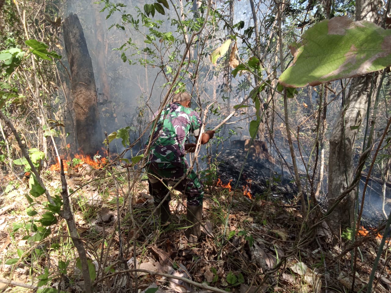 Babinsa Bersama Warga Berjibaku Padamkan Karhutla.