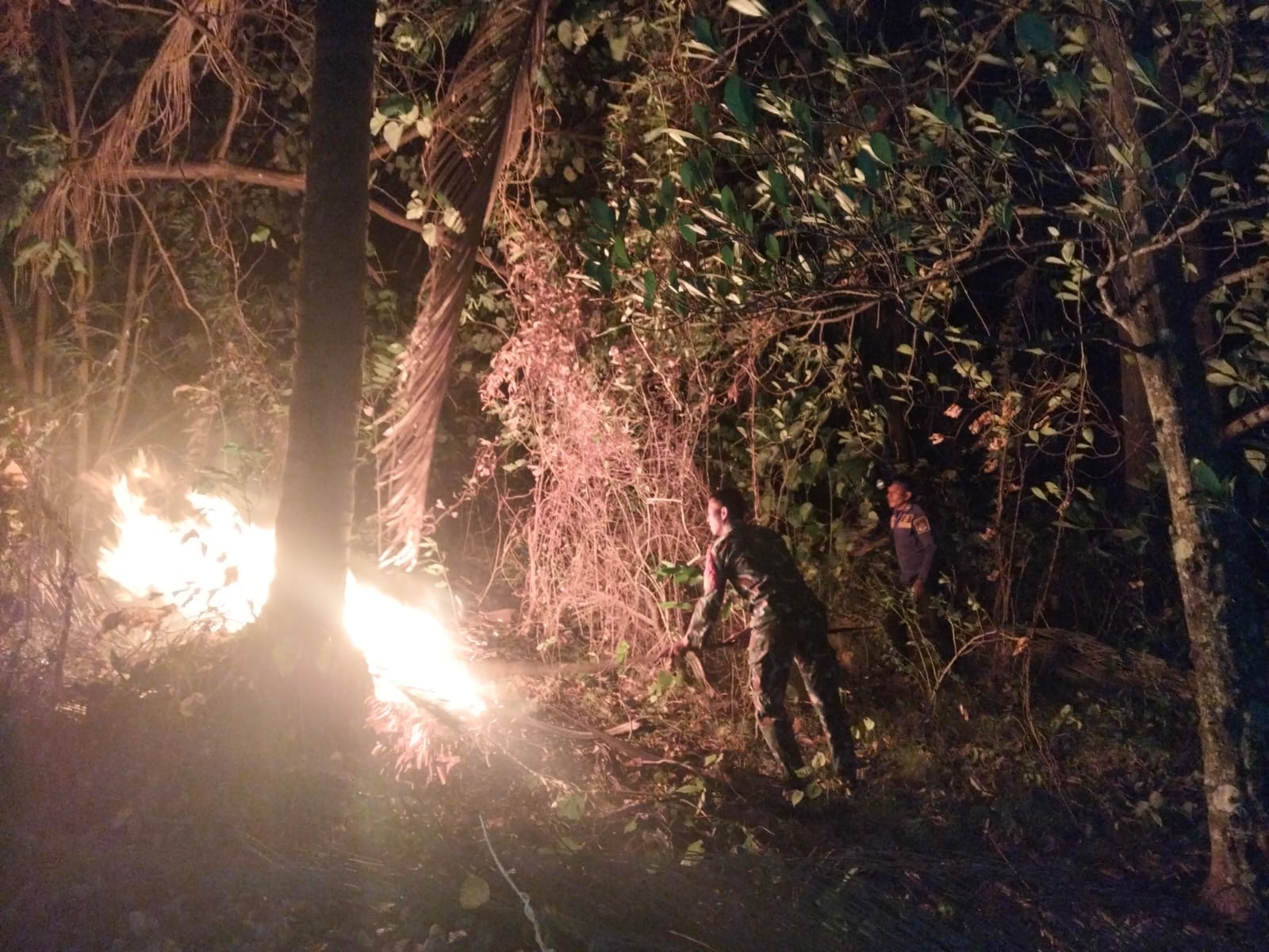 Api Mengganas Di Perkebunan, Pemadaman Berhasil Cegah Kebakaran Meluas.