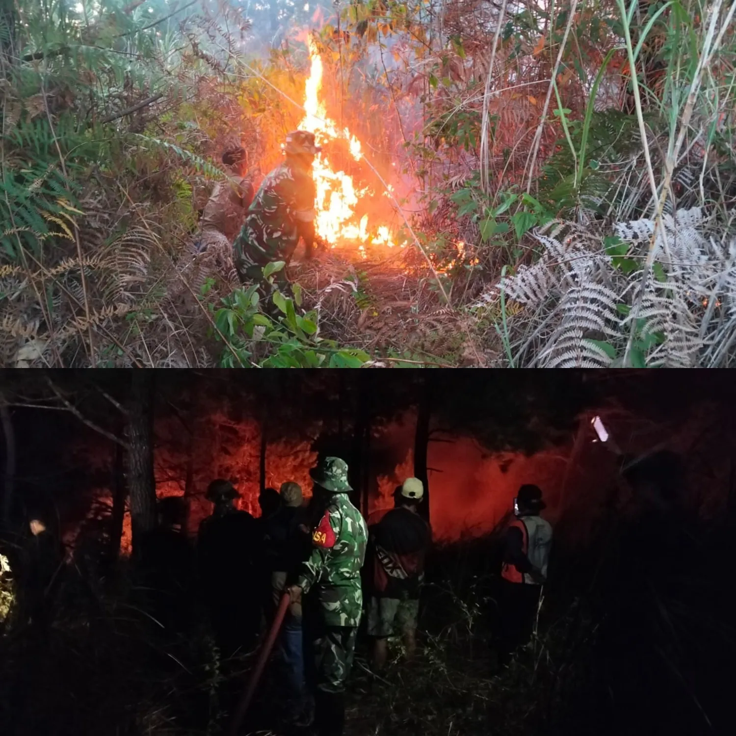 Babinsa Terobos Medan Sulit, Berjibaku Jinakkan Api Di Kaki Gunung Soputan.