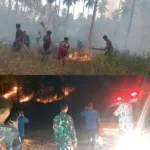 Babinsa Dan Warga Bersatu Hadang Api Di Perkebunan.