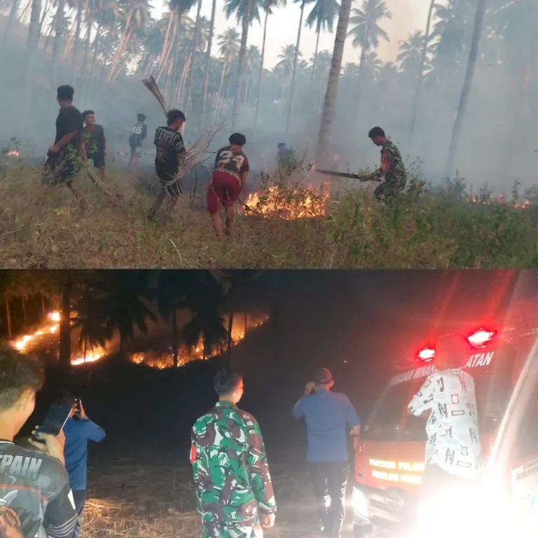 Babinsa Dan Warga Bersatu Hadang Api Di Perkebunan.