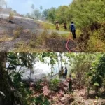 Babinsa Bergerak Cepat Jinakkan Kebakaran Lahan Pondang-Pinaling.