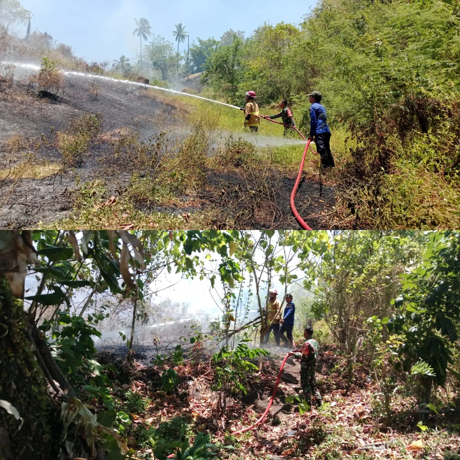 Babinsa Bergerak Cepat Jinakkan Kebakaran Lahan Pondang-Pinaling.