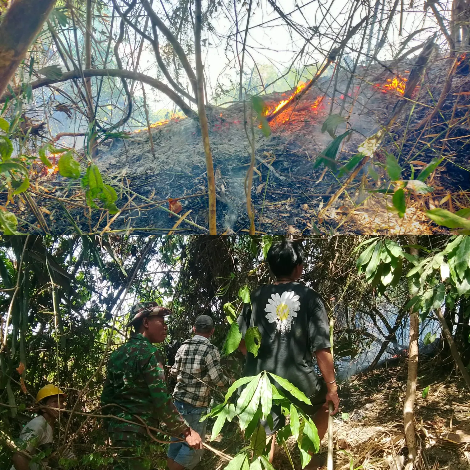 Babinsa Hadang Api Sebelum Meluas Di Perkebunan Tombariri.