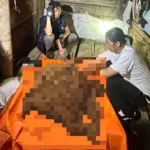 Geger! Kerangka Manusia Ditemukan di Dalam Gubuk Perkebunan Desa Toulimembet