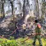 Aksi Sigap Babinsa Bantu Padamkan Api.