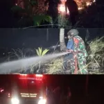 Babinsa, Damkar Dan Warga Padamkan Kebakaran Lahan Perkebunan.