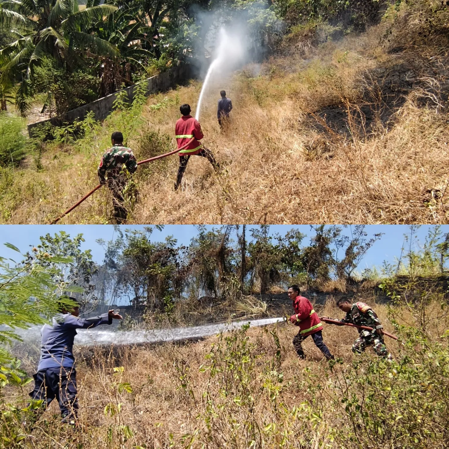 Babinsa Pratu Junaedi Gerak Cepat, Kobaran Api Lahan Perkebunan Berhasil Dijinakkan.