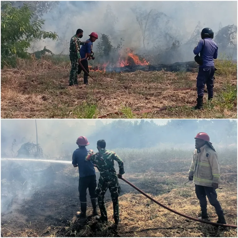 Babinsa Sigap, Kobaran Api Di Desa Kapitu Berhasil Dijinakkan.