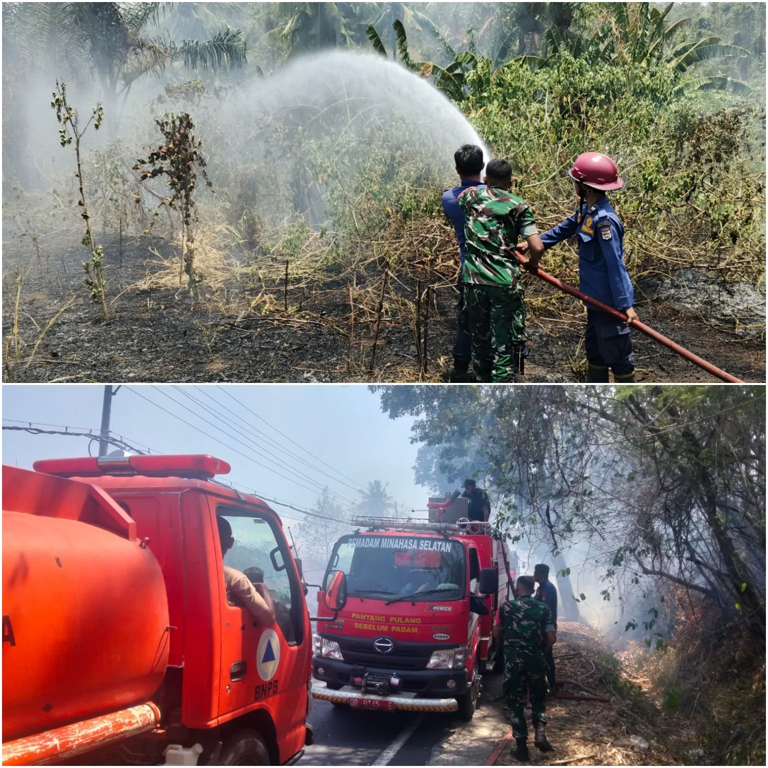 Babinsa Bersama Damkar dan Warga Padamkan Kebakaran Lahan Perkebunan.