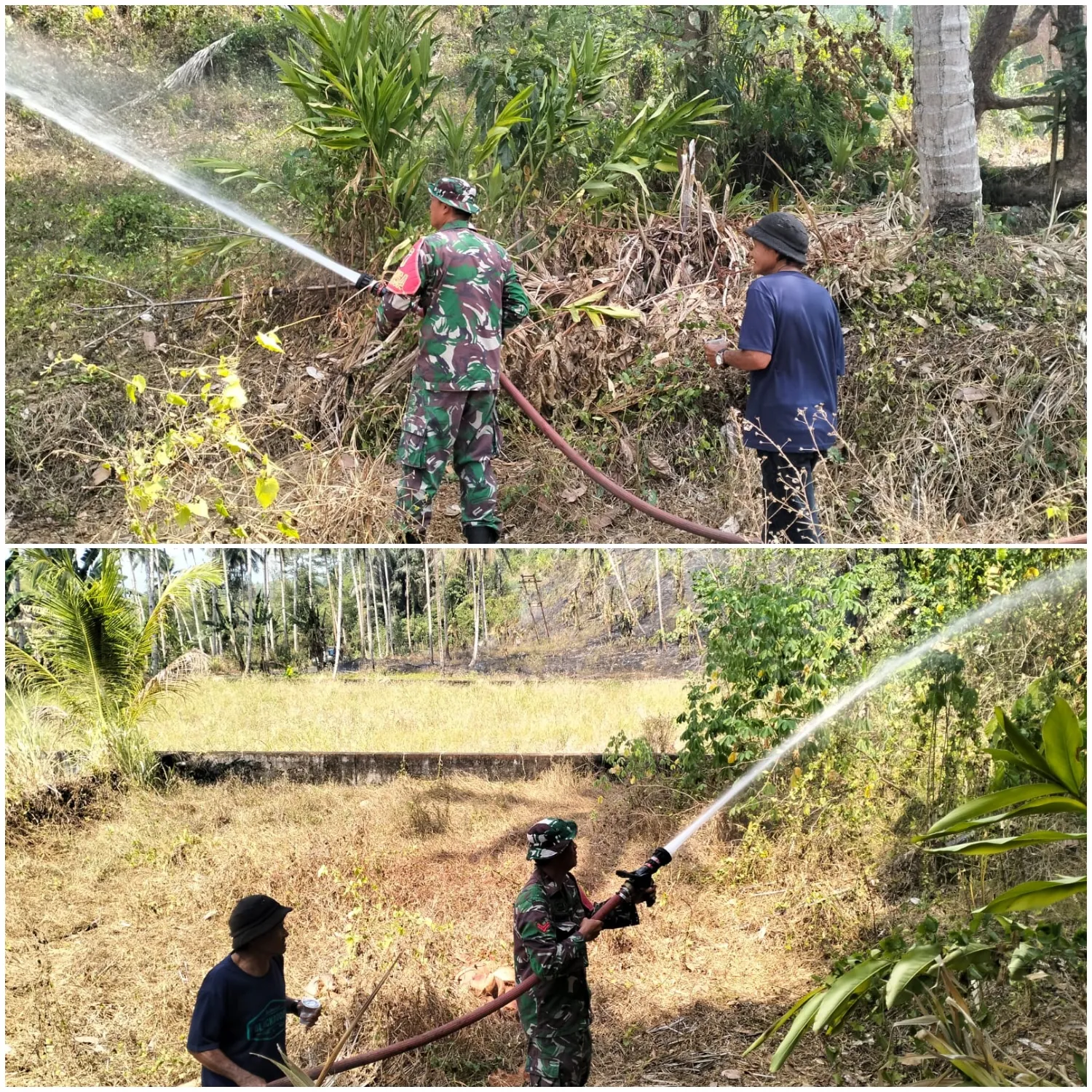 Babinsa, Damkar dan Warga Bersama Padamkan Kebakaran Lahan Di Suluun Tareran.