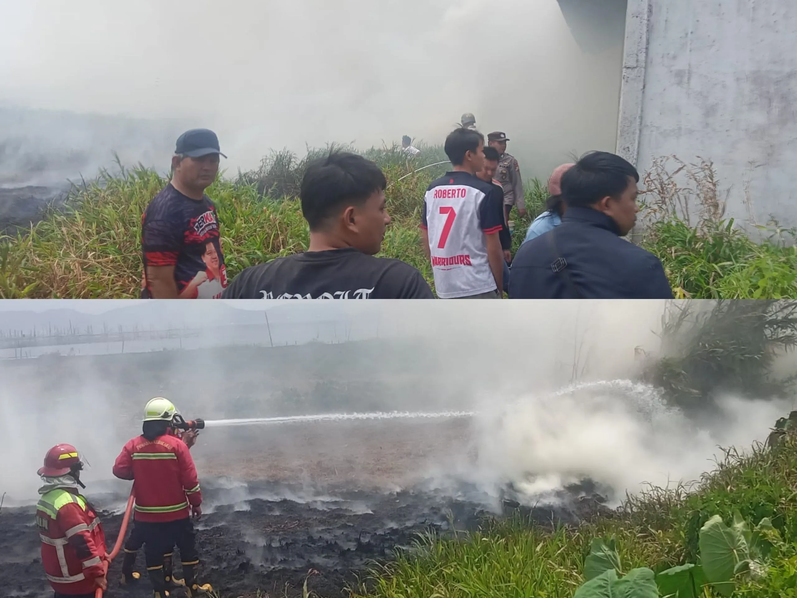 Ilalang di Pesisir Danau Tondano Terbakar, Polsek Eris dan Damkar Bergerak Cepat