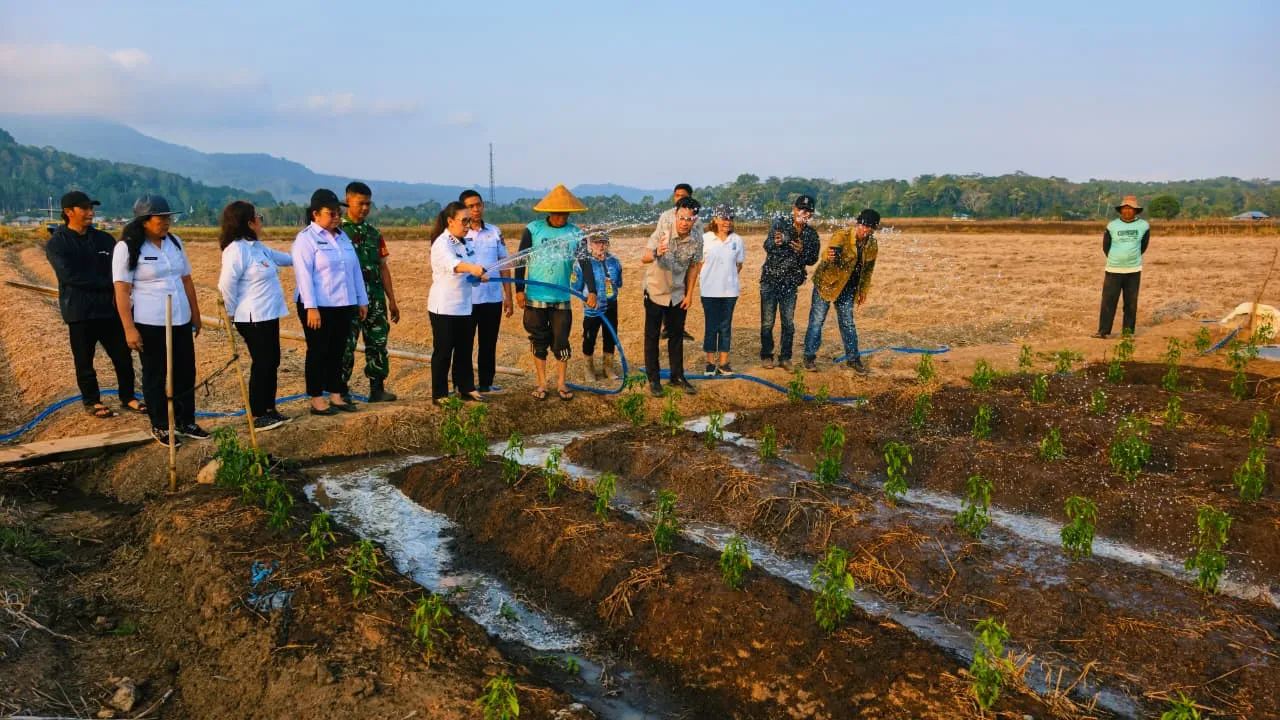 Babinsa Dampingi Penanganan Dampak El Nino Di Desa Parepei.